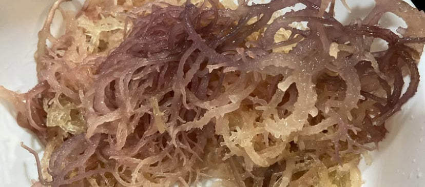 Wild mix Irish sea moss