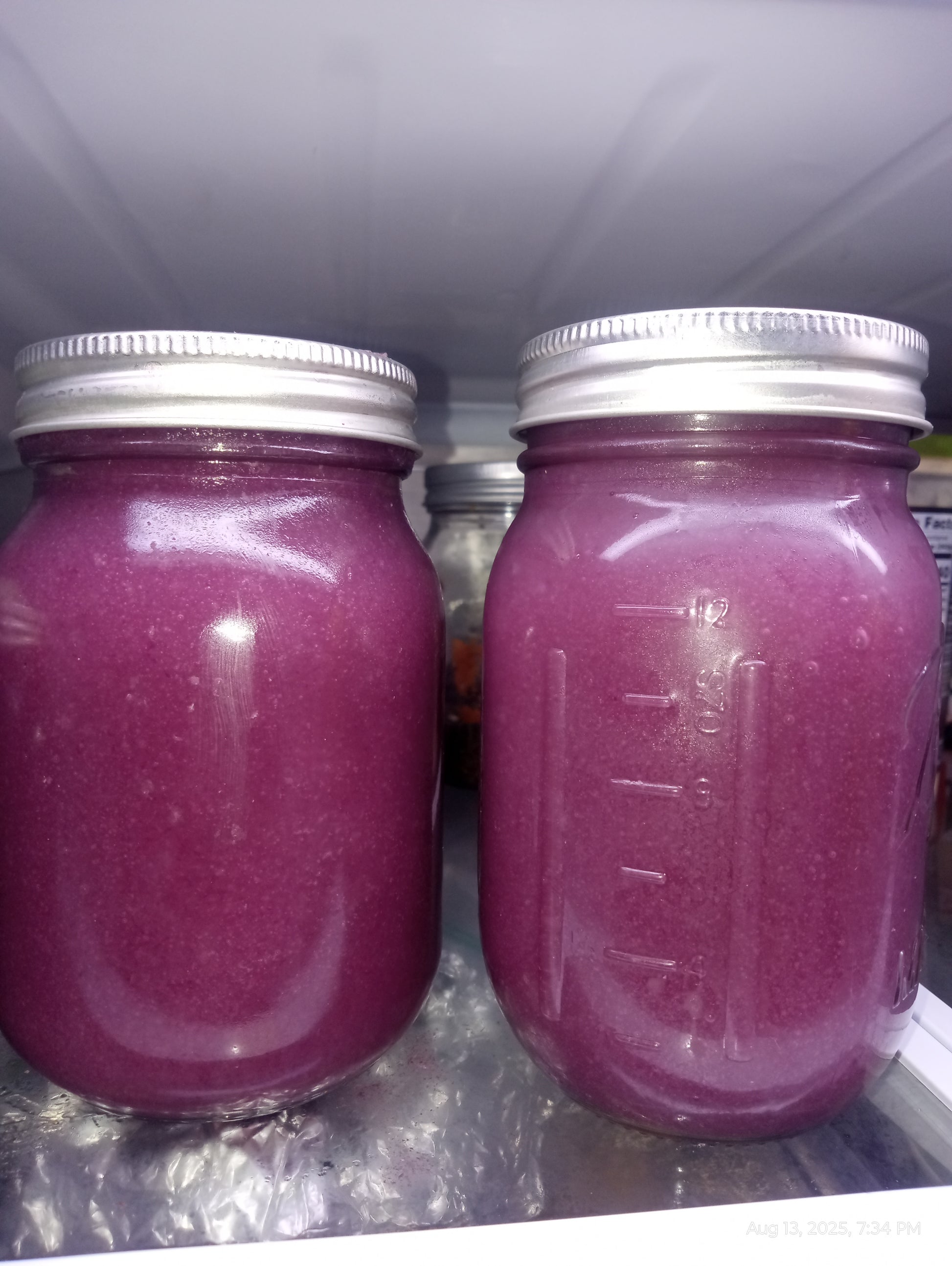 Purple Sea Moss